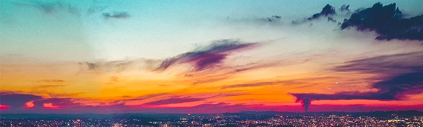 佳木斯茶虫网_佳木斯品茶